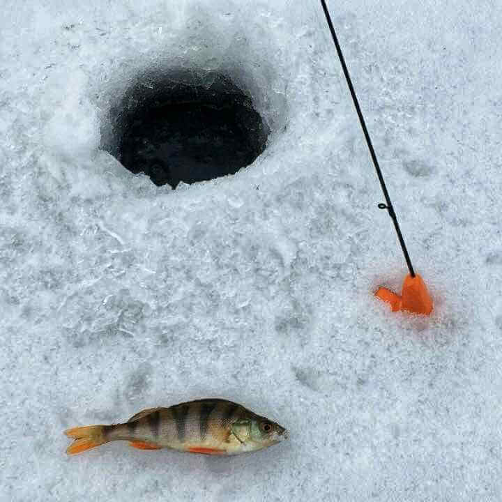 Дәурен Әлімжанов с сыном на семейном выезде IceClub.